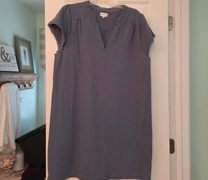 Wonderly Soft Blue Tunic Top